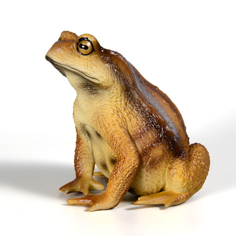 Kids First Education - Figurine de grenouille amphibie, modèle d'insecte,