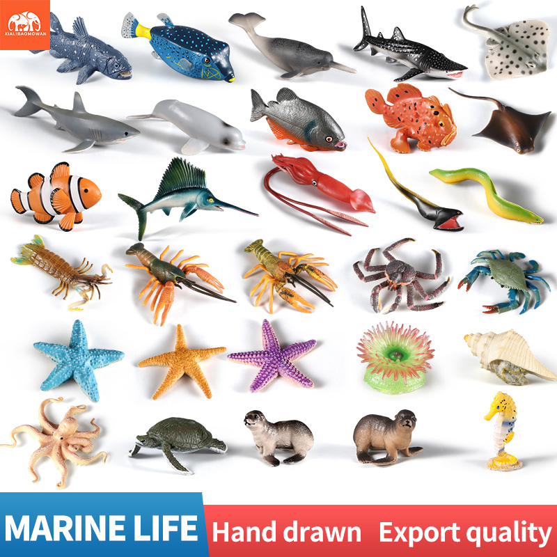 Kids Education Picture - Ensemble de figurines d'animaux marins -