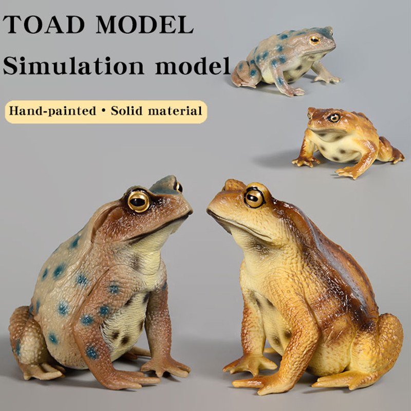 Figurine de grenouille amphibi - Kids First Education avis et prix