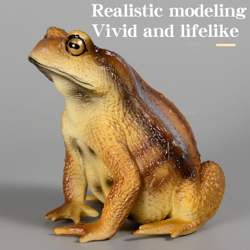 Figurine de grenouille amphibi - Kids First Education avis et prix