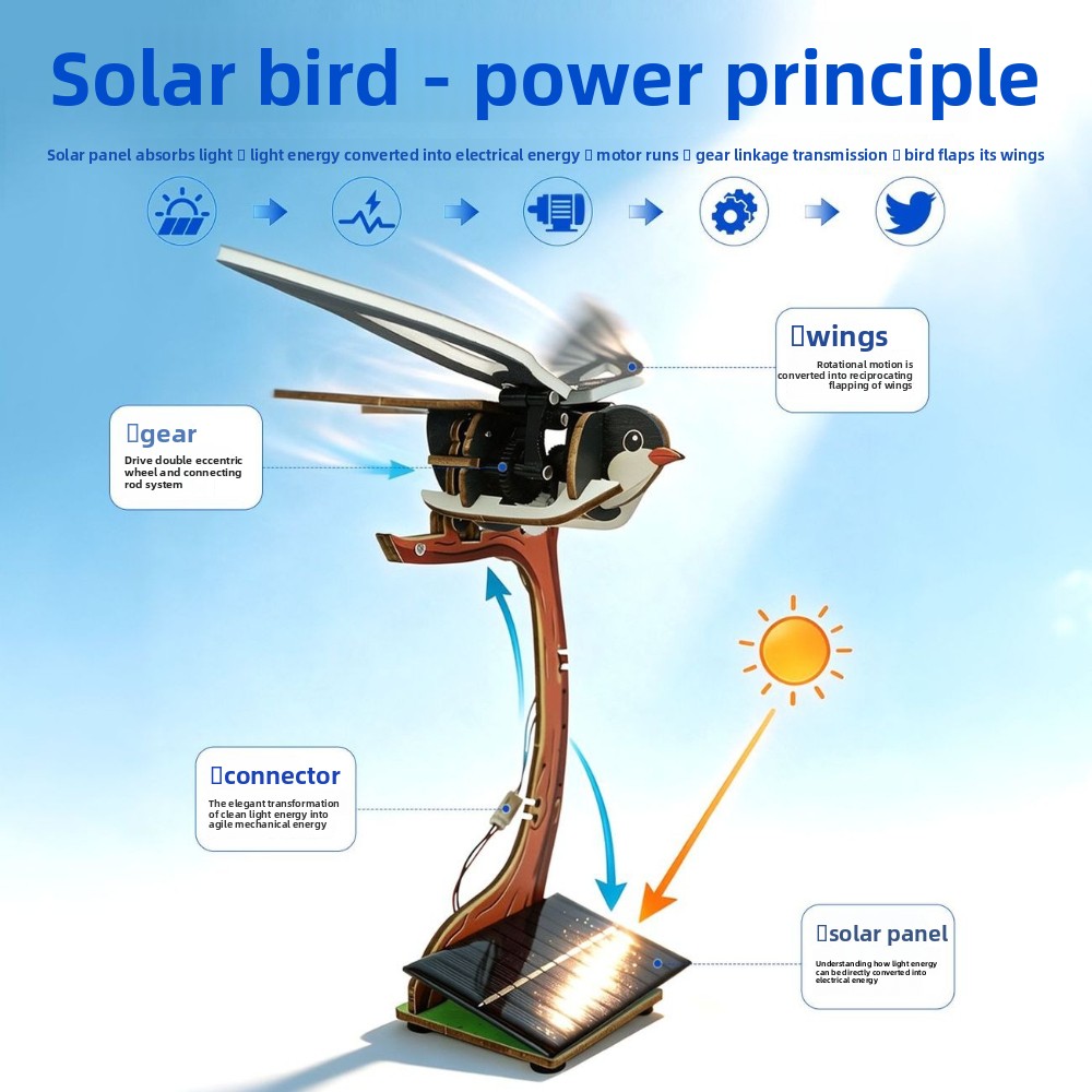 Kit de bricolage scientifique  - Kids Education Allowance avis et prix