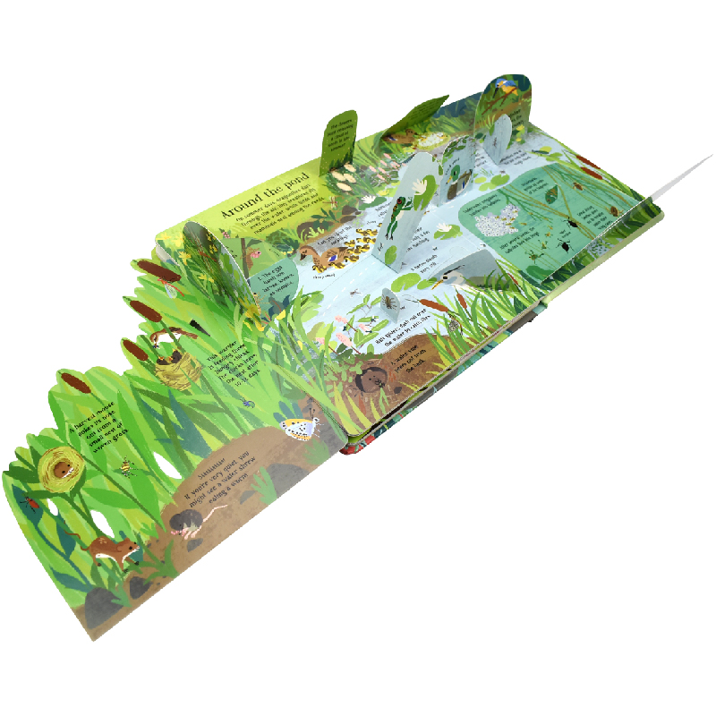 Anglais Montessori 3D Usborne  - Kids Education Picture avis et prix